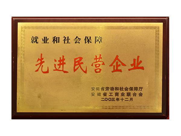 先(xian)進(jin)民(mín)營(ying)齊(qi)業