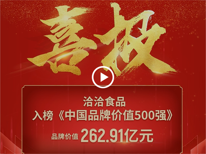 洽洽500強